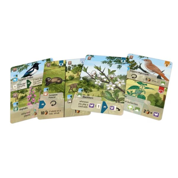 Forest Shuffle - Woodland Edge Expansion (Pre-Order Deposit Required) Pre-order by: 28/02/2025 - Image 4