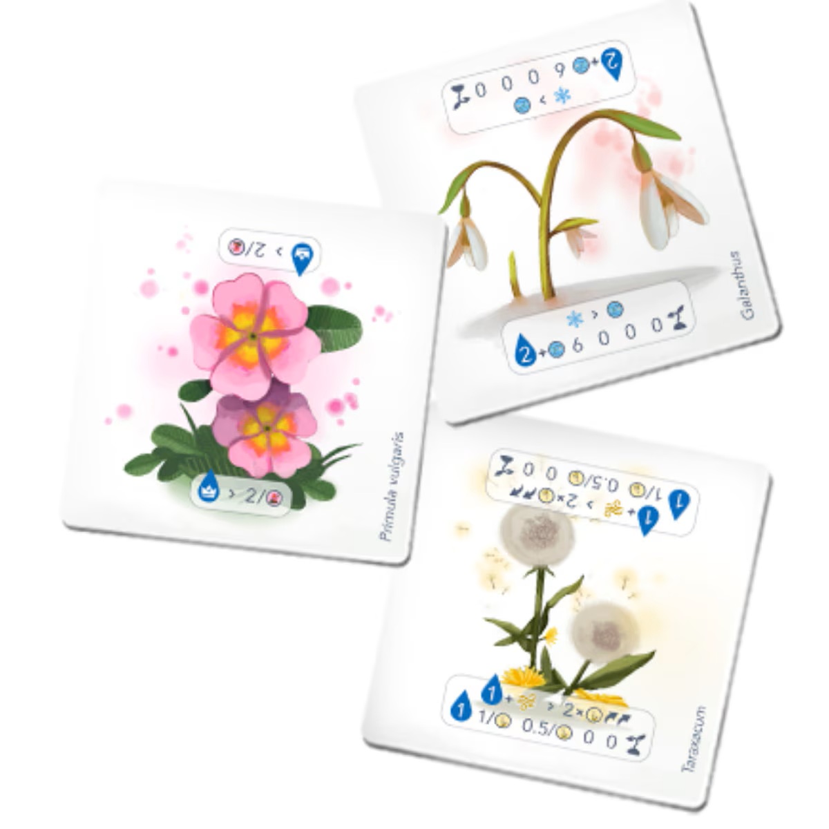 Petrichor - Flowers Expansion (Pre-Order Deposit Required) Pre-order by: 19/12/2025 - Image 3