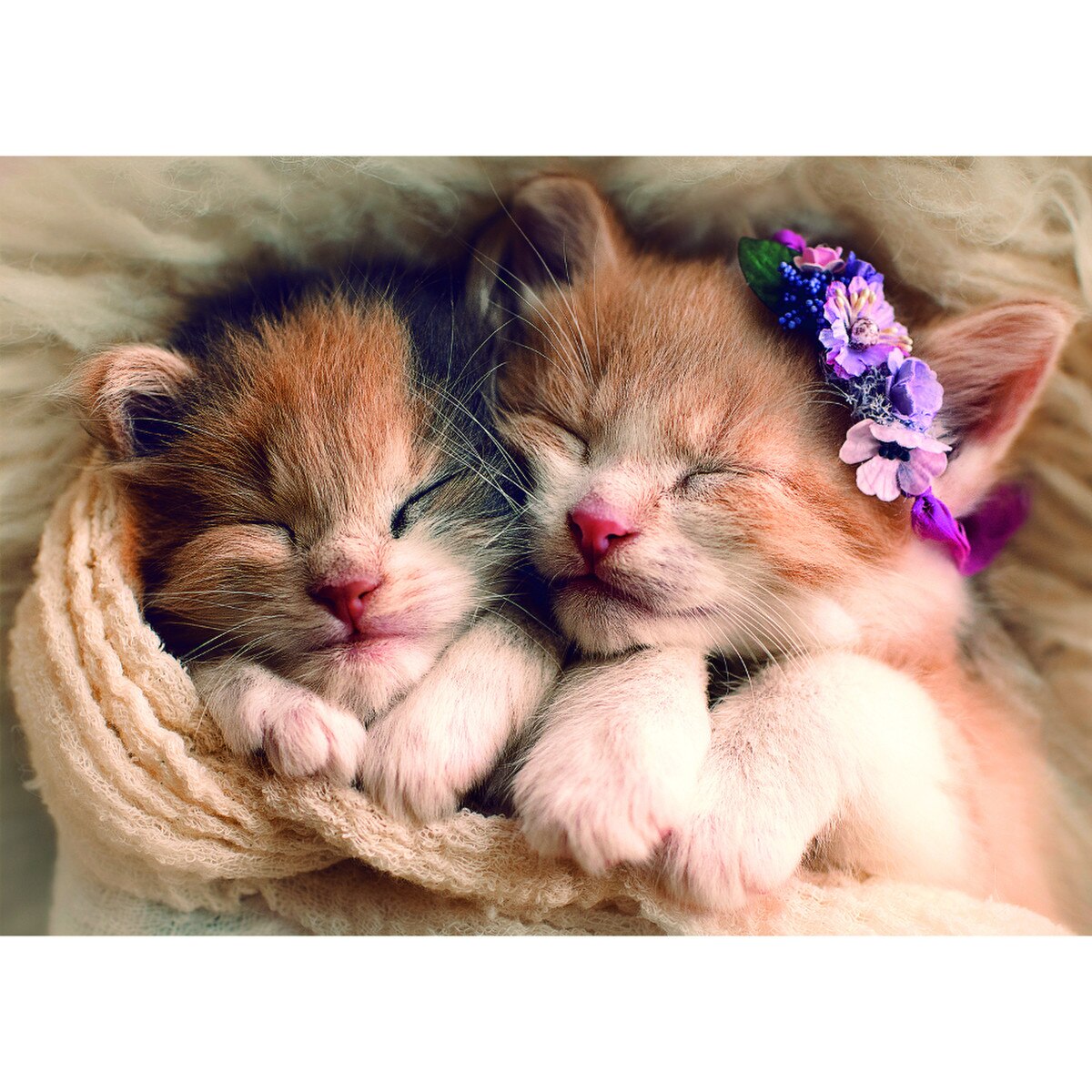 Trefl 500pc Sleeping Kittens Puzzle - Image 3