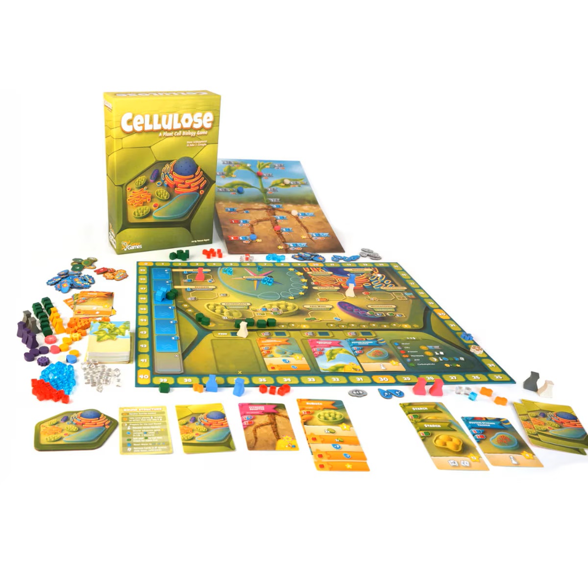Cellulose: A Plant Cell Biology Game (Pre-Order Deposit Required) Pre-order by: 30/01/2026 - Image 4