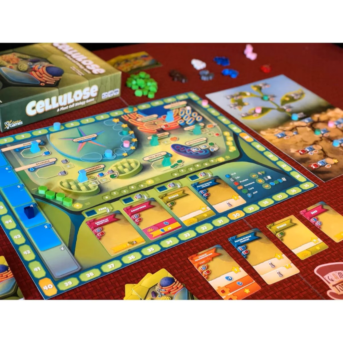 Cellulose: A Plant Cell Biology Game (Pre-Order Deposit Required) Pre-order by: 30/01/2026 - Image 3