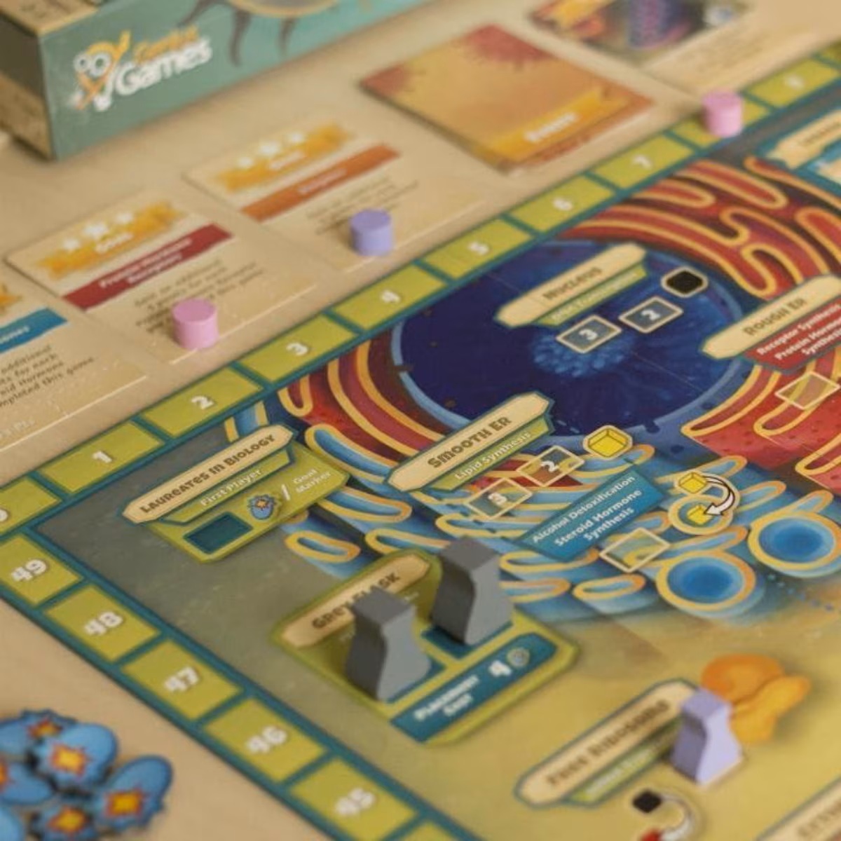 Cytosis: A Cell Biology Game (Pre-Order Deposit Required) Pre-order by: 30/01/2026 - Image 5