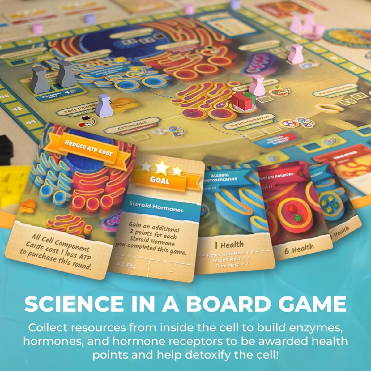 Cytosis: A Cell Biology Game (Pre-Order Deposit Required) Pre-order by: 30/01/2026 - Image 4